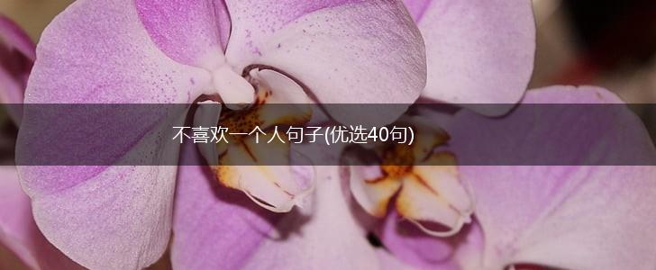 不喜欢一个人句子(优选40句),第1张
