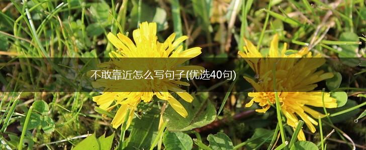 不敢靠近怎么写句子(优选40句),第1张