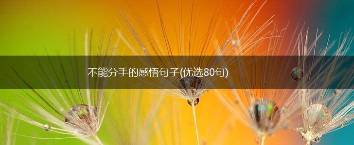 不能分手的感悟句子(优选80句),第1张