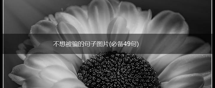 不想被骗的句子图片(必备49句),第1张