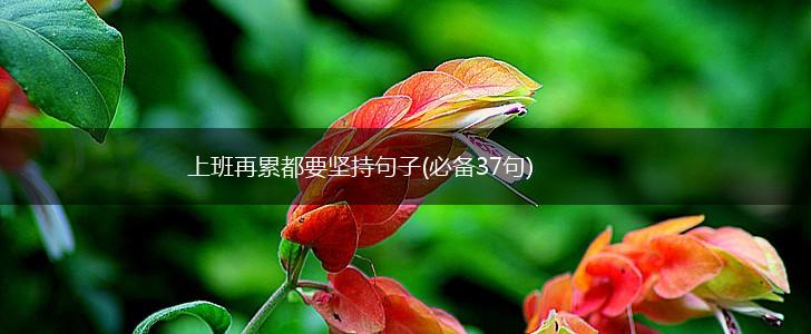 上班再累都要坚持句子(必备37句),第1张