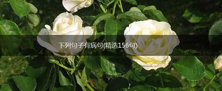 下列句子有病句(精选156句),第1张
