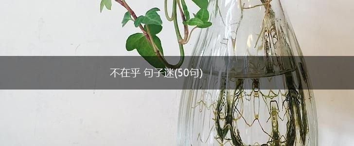 不在乎 句子迷(50句),第1张