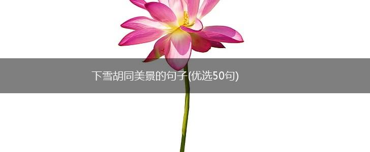 下雪胡同美景的句子(优选50句),第1张