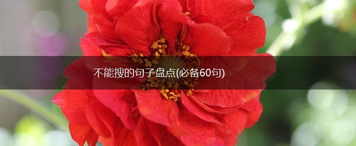 不能搜的句子盘点(必备60句),第1张
