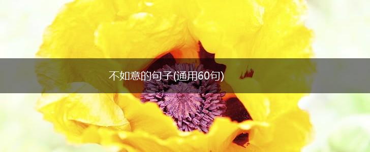 不如意的句子(通用60句),第1张