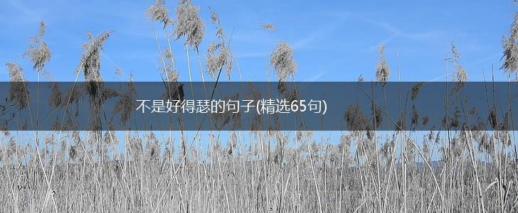 不是好得瑟的句子(精选65句),第1张