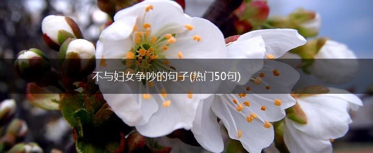 不与妇女争吵的句子(热门50句),第1张