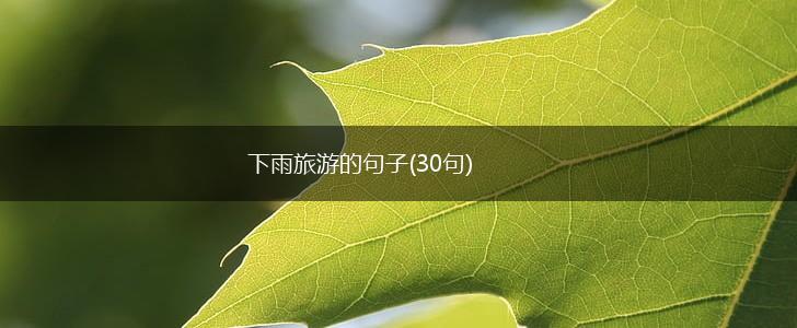 下雨旅游的句子(30句),第1张