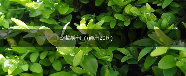 上班搞笑句子(通用20句),第1张