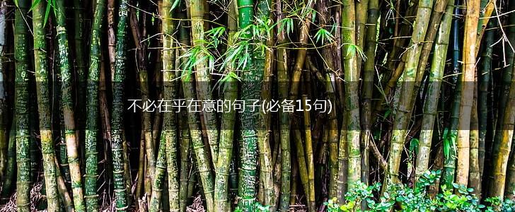 不必在乎在意的句子(必备15句),第1张