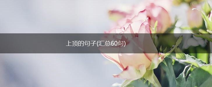 上顶的句子(汇总60句),第1张