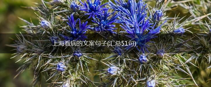 上海看病的文案句子(汇总51句),第1张