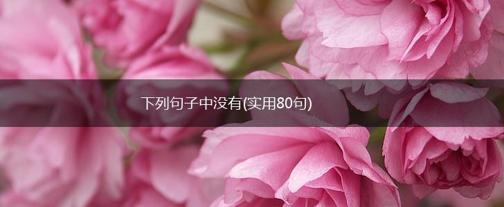 下列句子中没有(实用80句),第1张