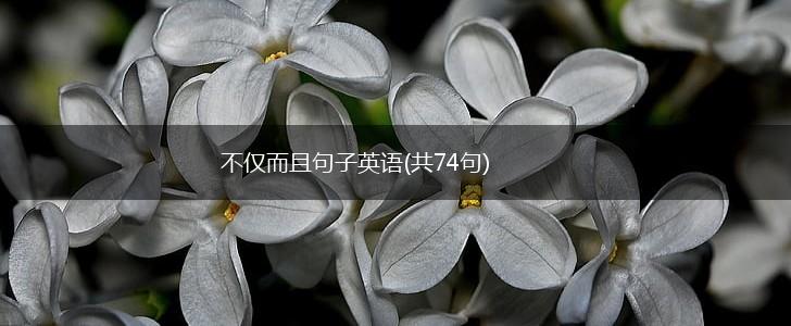 不仅而且句子英语(共74句),第1张
