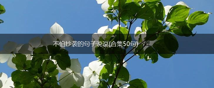 不怕抄袭的句子说说(合集50句),第1张
