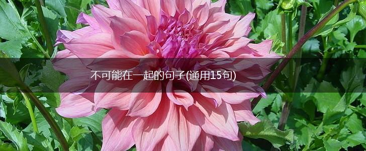 不可能在一起的句子(通用15句),第1张