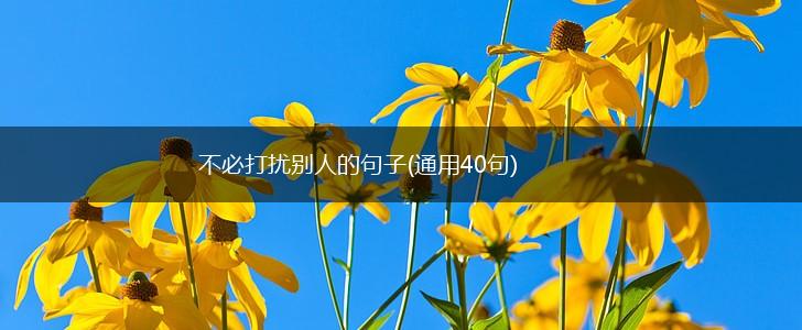 不必打扰别人的句子(通用40句),第1张