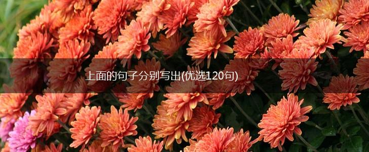 上面的句子分别写出(优选120句),第1张