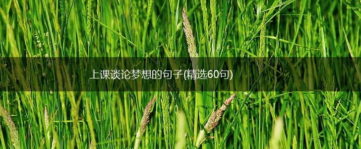 上课谈论梦想的句子(精选60句),第1张
