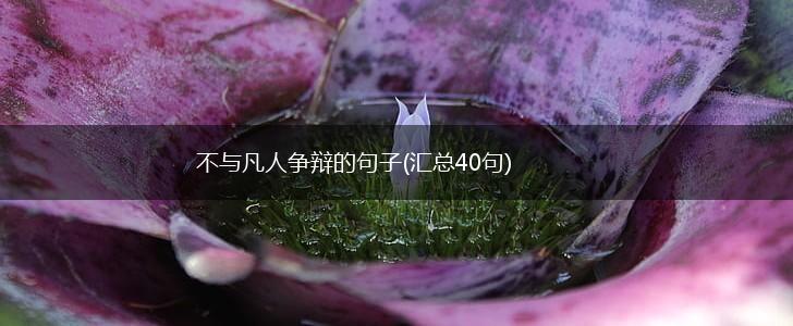 不与凡人争辩的句子(汇总40句),第1张