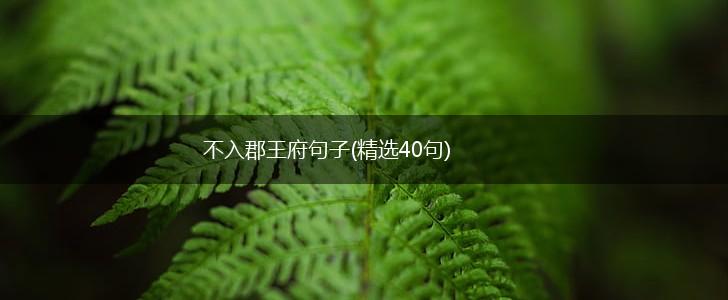 不入郡王府句子(精选40句),第1张