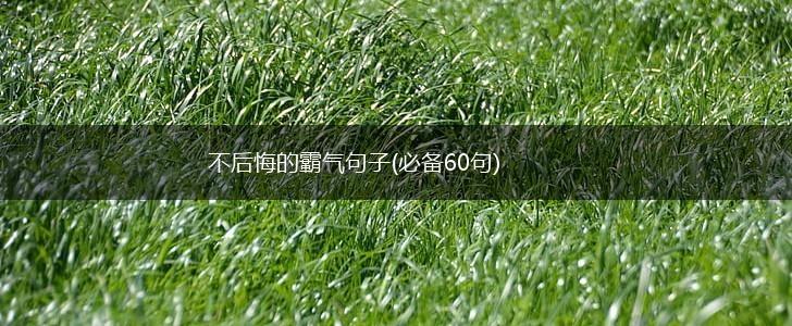 不后悔的霸气句子(必备60句),第1张