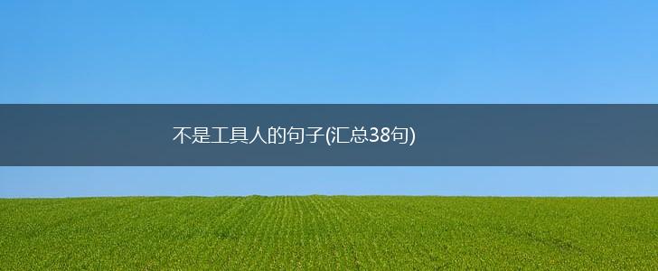 不是工具人的句子(汇总38句),第1张