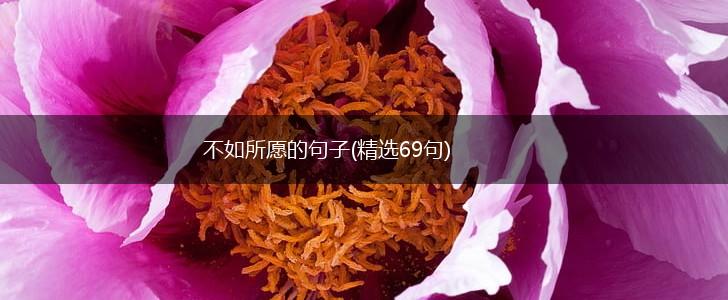 不如所愿的句子(精选69句),第1张