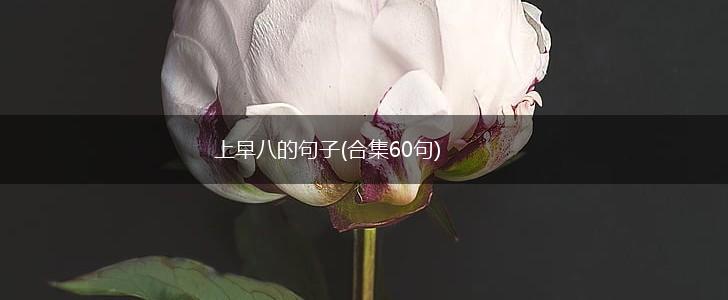 上早八的句子(合集60句),第1张