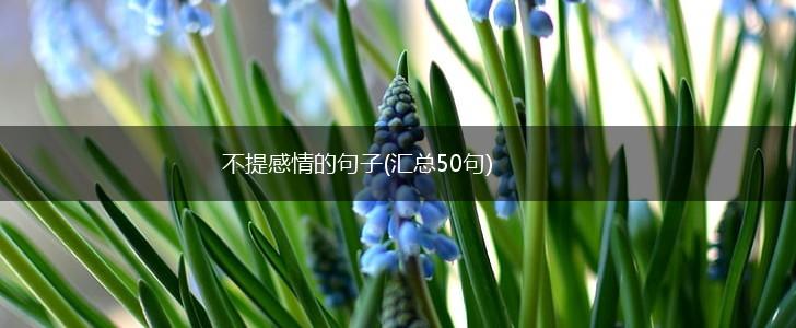 不提感情的句子(汇总50句),第1张