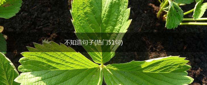 不知造句子(热门51句),第1张