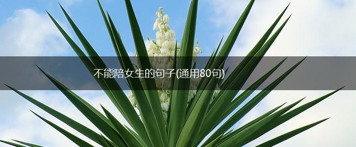 不能陪女生的句子(通用80句),第1张