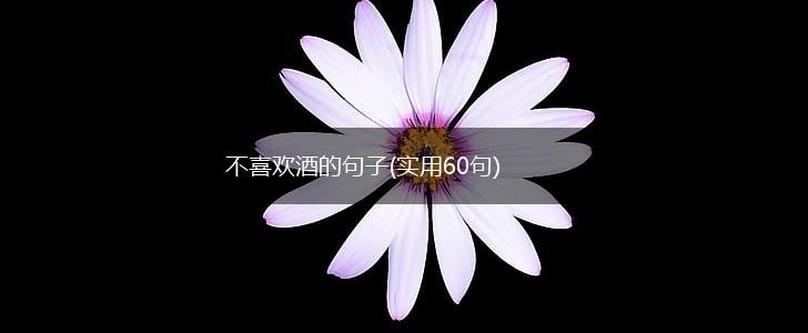 不喜欢酒的句子(实用60句),第1张