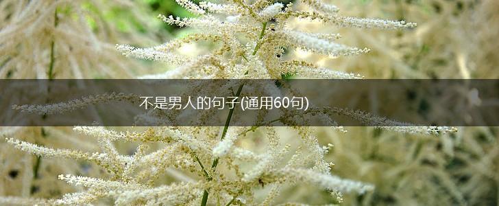 不是男人的句子(通用60句),第1张