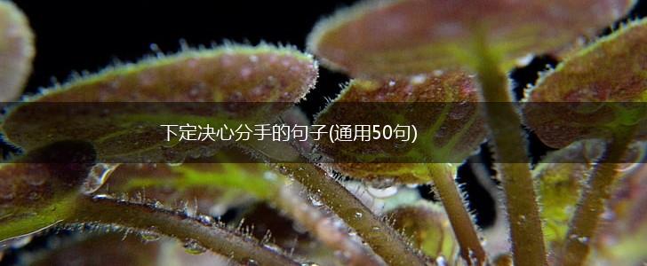 下定决心分手的句子(通用50句),第1张