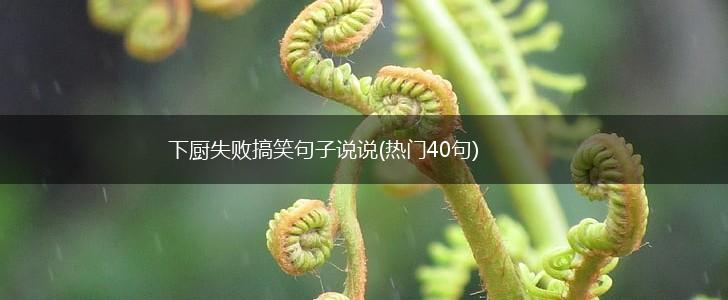 下厨失败搞笑句子说说(热门40句),第1张