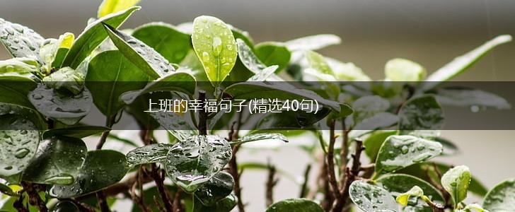 上班的幸福句子(精选40句),第1张