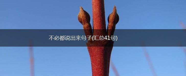 不必都说出来句子(汇总41句),第1张