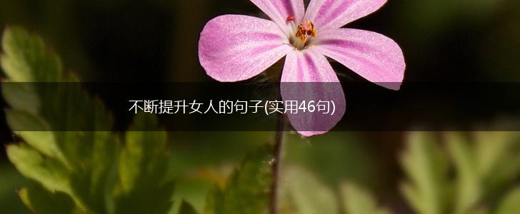 不断提升女人的句子(实用46句),第1张