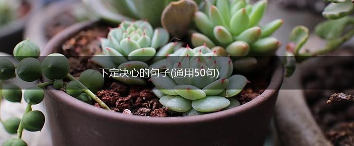 下定决心的句子(通用50句),第1张
