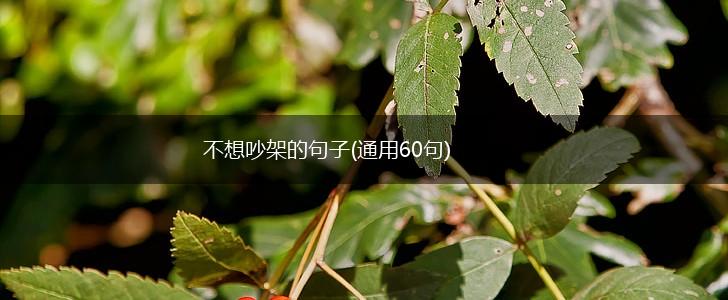 不想吵架的句子(通用60句),第1张