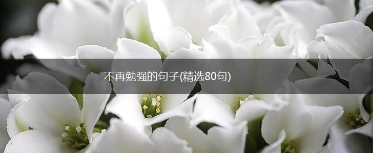 不再勉强的句子(精选80句),第1张