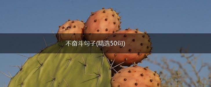 不奋斗句子(精选50句),第1张