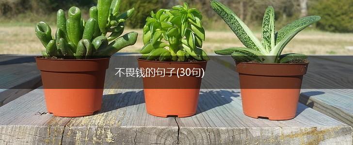 不畏钱的句子(30句),第1张
