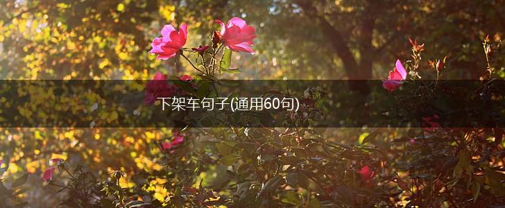 下架车句子(通用60句),第1张