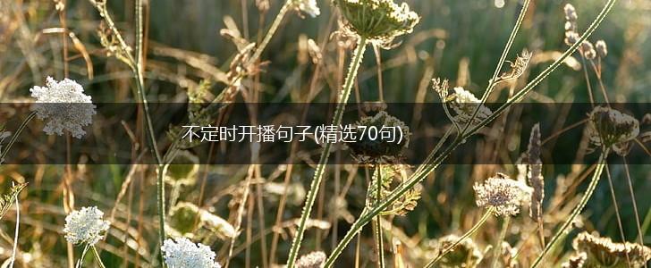 不定时开播句子(精选70句),第1张