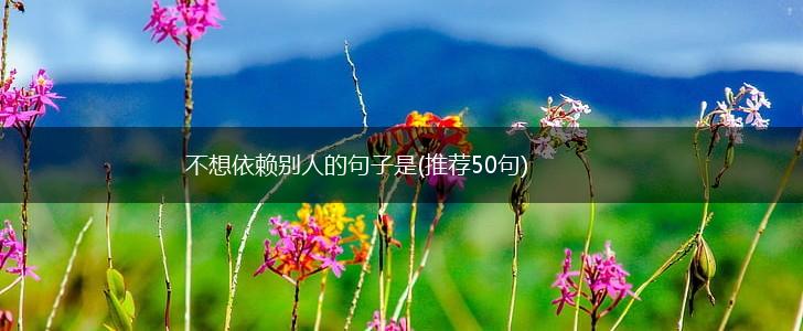 不想依赖别人的句子是(推荐50句),第1张
