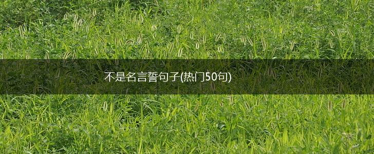 不是名言誓句子(热门50句),第1张
