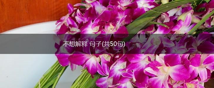 不想解释 句子(共50句),第1张